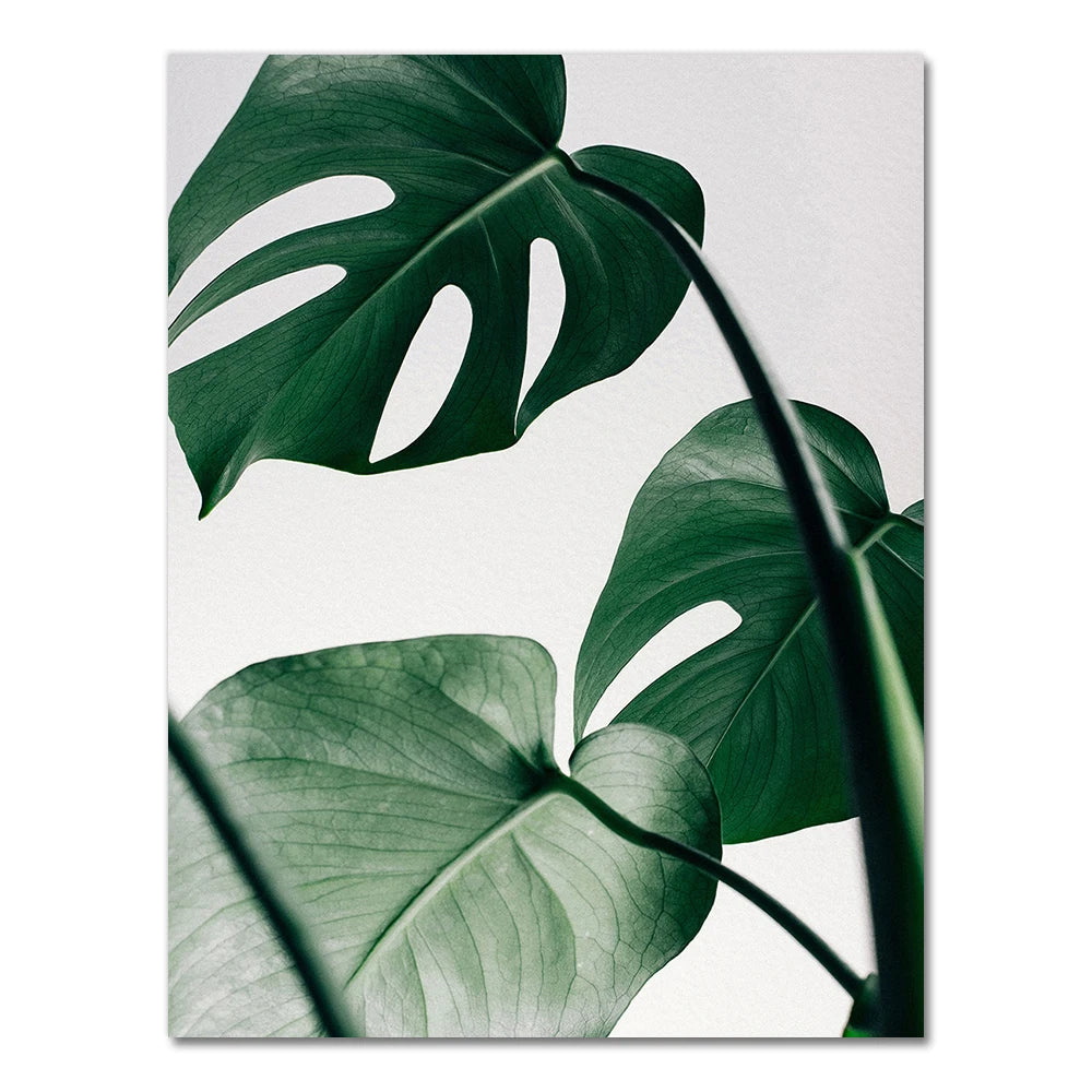 Tropical Palm Leaf Canvas