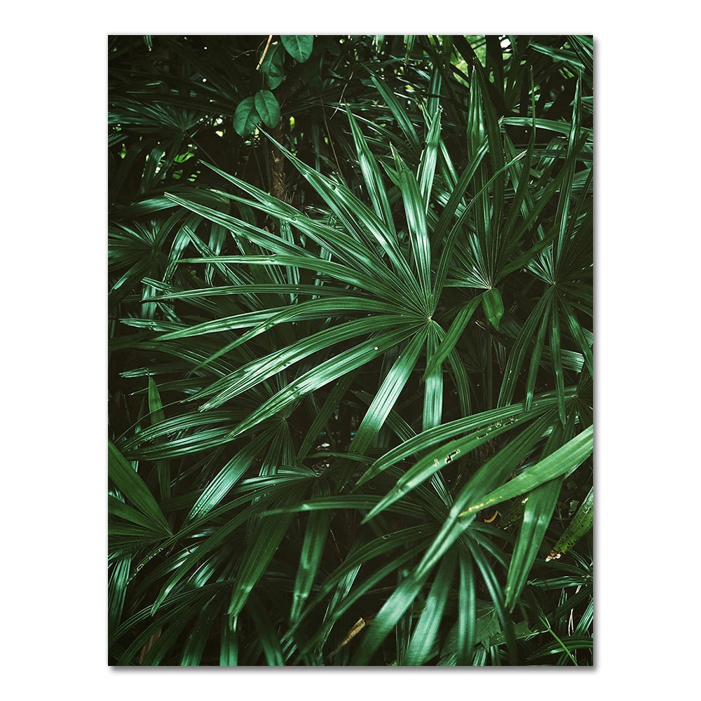 Tropical Palm Leaf Canvas