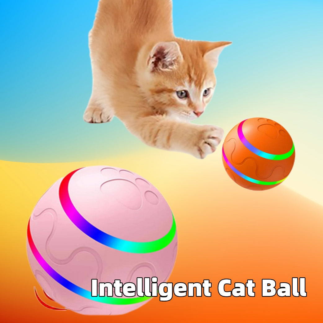 Cat Wicked Ball